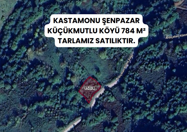 KASTAMONU ŞENPAZAR KÜÇÜKMUTLU  KÖYÜNDE  784  M² TARLA SATILIKTIR - KASTAMONU ŞENPAZAR fotoğraf 7